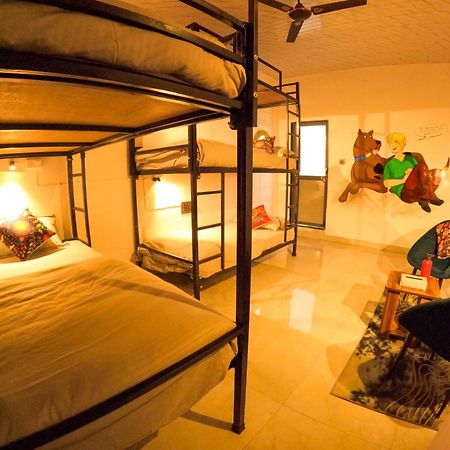 Funky Backpackers Udaipur Exterior foto